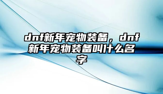 dnf新年寵物裝備，dnf新年寵物裝備叫什么名字