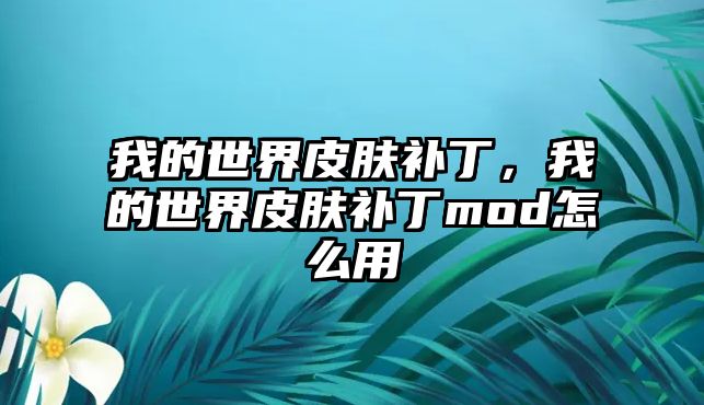 我的世界皮膚補丁，我的世界皮膚補丁mod怎么用