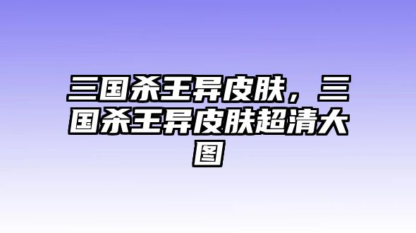 三國殺王異皮膚，三國殺王異皮膚超清大圖