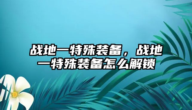 戰地一特殊裝備，戰地一特殊裝備怎么解鎖