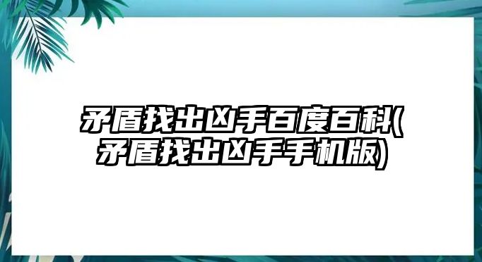 矛盾找出兇手百度百科(矛盾找出兇手手機版)