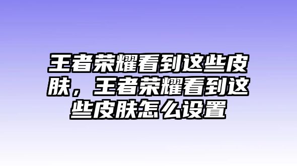 王者榮耀看到這些皮膚，王者榮耀看到這些皮膚怎么設置