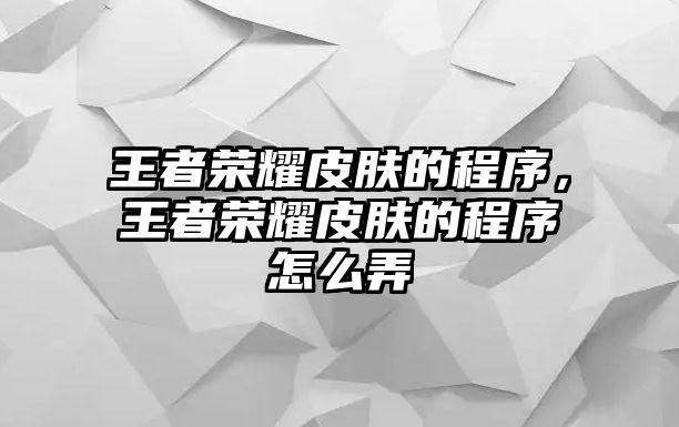 王者榮耀皮膚的程序，王者榮耀皮膚的程序怎么弄