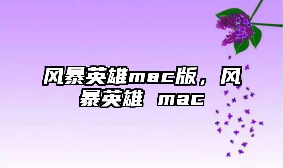 風暴英雄mac版，風暴英雄 mac