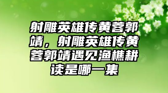 射雕英雄傳黃蓉郭靖，射雕英雄傳黃蓉郭靖遇見漁樵耕讀是哪一集