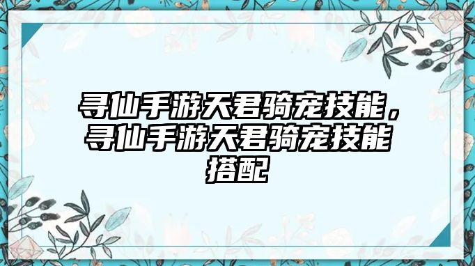 尋仙手游天君騎寵技能，尋仙手游天君騎寵技能搭配