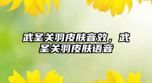 武圣關羽皮膚音效，武圣關羽皮膚語音