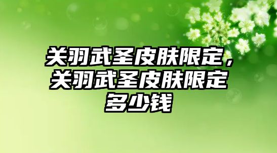 關羽武圣皮膚限定，關羽武圣皮膚限定多少錢