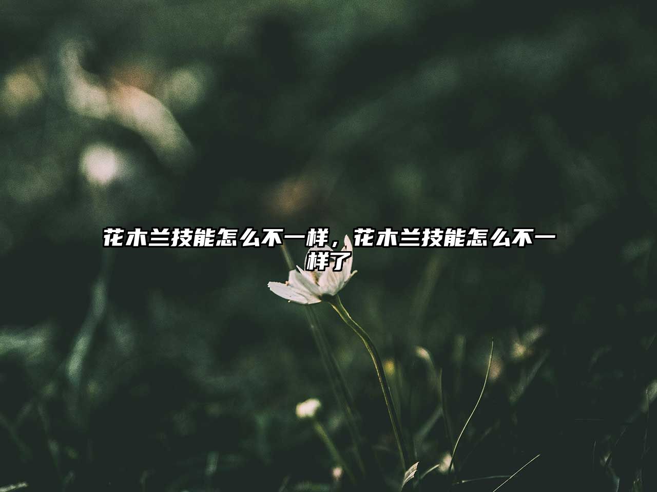 花木蘭技能怎么不一樣，花木蘭技能怎么不一樣了