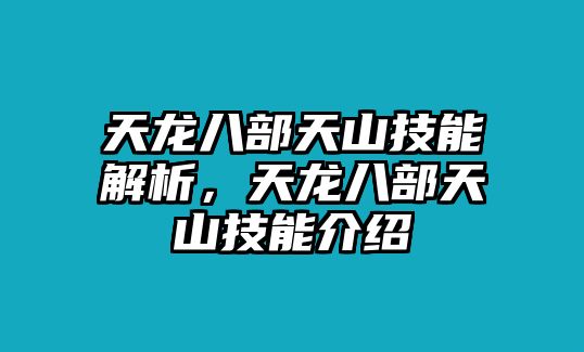 天龍八部天山技能解析，天龍八部天山技能介紹