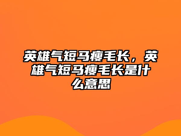 英雄氣短馬瘦毛長，英雄氣短馬瘦毛長是什么意思