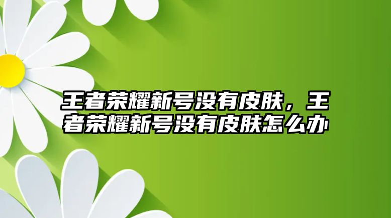 王者榮耀新號(hào)沒(méi)有皮膚，王者榮耀新號(hào)沒(méi)有皮膚怎么辦