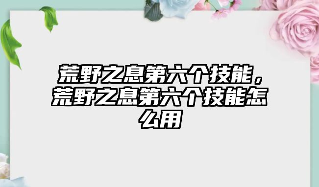 荒野之息第六個技能，荒野之息第六個技能怎么用