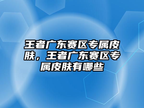 王者廣東賽區專屬皮膚，王者廣東賽區專屬皮膚有哪些