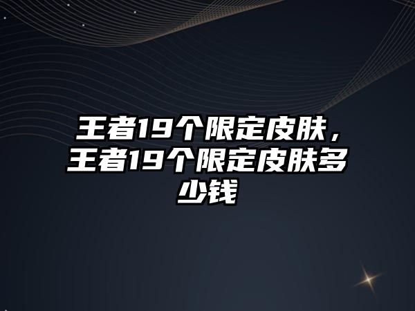 王者19個(gè)限定皮膚，王者19個(gè)限定皮膚多少錢