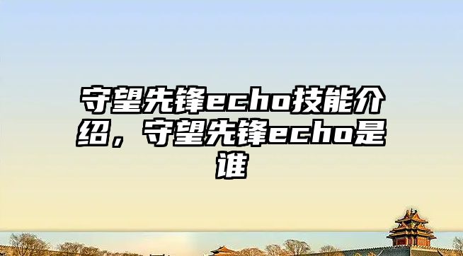 守望先鋒echo技能介紹，守望先鋒echo是誰