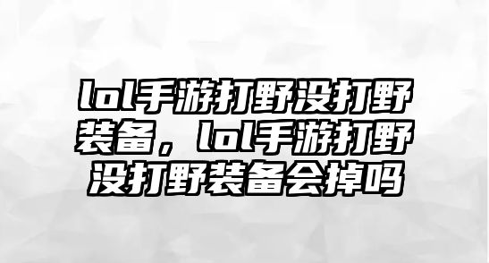 lol手游打野沒打野裝備，lol手游打野沒打野裝備會掉嗎