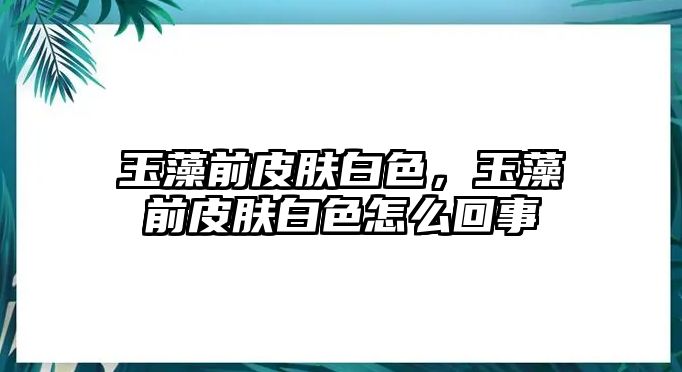 玉藻前皮膚白色，玉藻前皮膚白色怎么回事