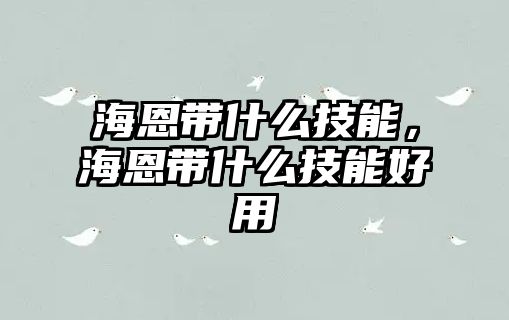 海恩帶什么技能，海恩帶什么技能好用