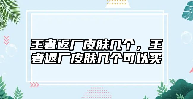 王者返廠皮膚幾個，王者返廠皮膚幾個可以買