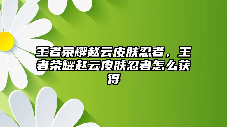 王者榮耀趙云皮膚忍者，王者榮耀趙云皮膚忍者怎么獲得