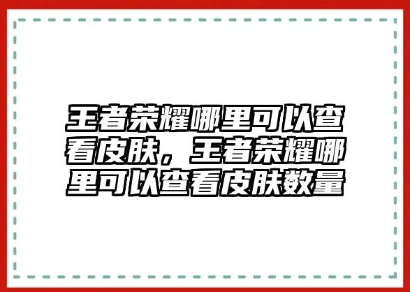 王者榮耀哪里可以查看皮膚，王者榮耀哪里可以查看皮膚數量