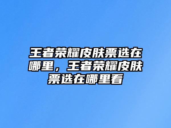 王者榮耀皮膚票選在哪里，王者榮耀皮膚票選在哪里看