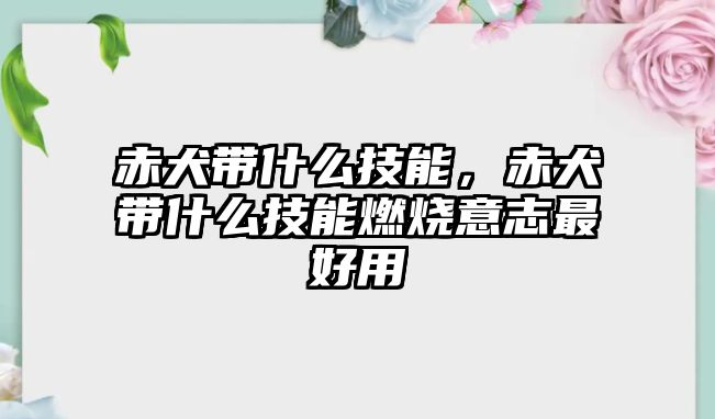 赤犬帶什么技能，赤犬帶什么技能燃燒意志最好用