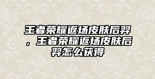 王者榮耀返場皮膚后羿，王者榮耀返場皮膚后羿怎么獲得