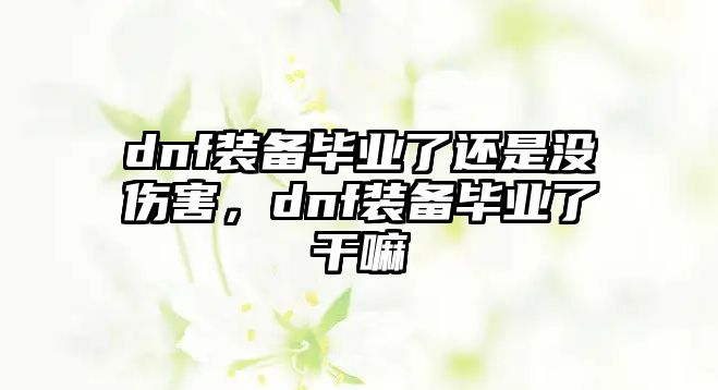 dnf裝備畢業(yè)了還是沒傷害，dnf裝備畢業(yè)了干嘛