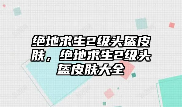 絕地求生2級頭盔皮膚，絕地求生2級頭盔皮膚大全