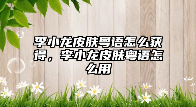 李小龍皮膚粵語怎么獲得，李小龍皮膚粵語怎么用