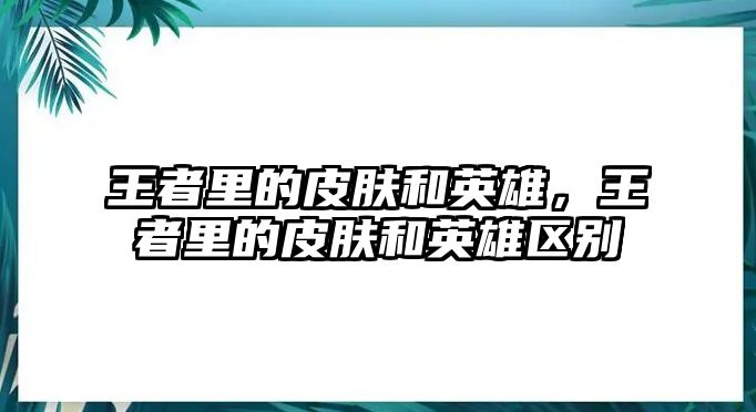 王者里的皮膚和英雄，王者里的皮膚和英雄區(qū)別