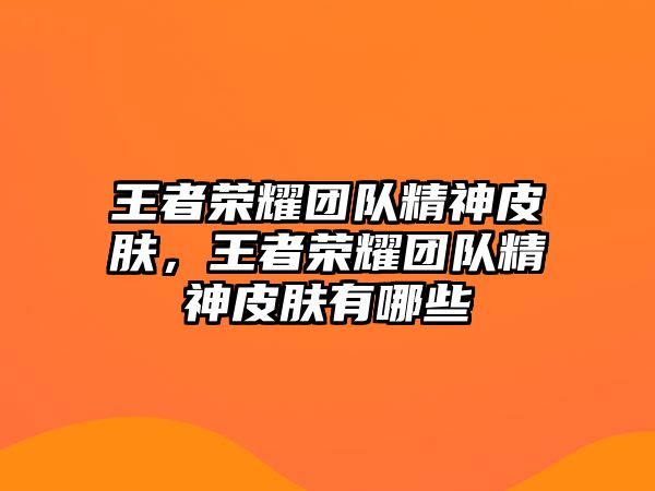 王者榮耀團隊精神皮膚，王者榮耀團隊精神皮膚有哪些