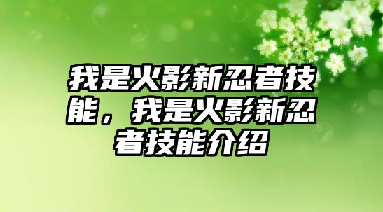 我是火影新忍者技能，我是火影新忍者技能介紹