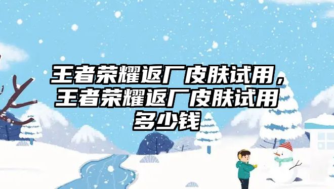 王者榮耀返廠皮膚試用，王者榮耀返廠皮膚試用多少錢