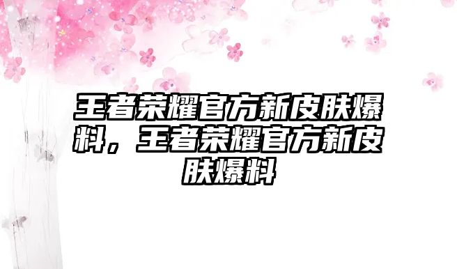 王者榮耀官方新皮膚爆料，王者榮耀官方新皮膚爆料