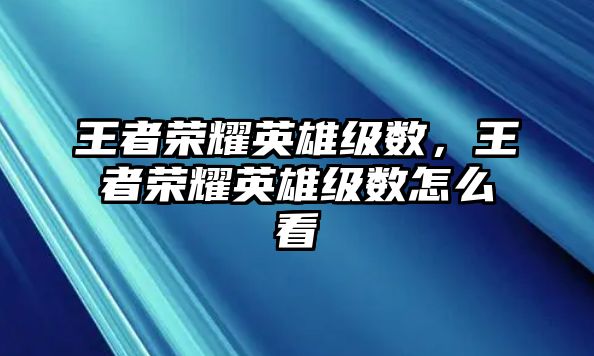 王者榮耀英雄級數，王者榮耀英雄級數怎么看