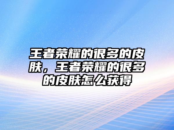 王者榮耀的很多的皮膚，王者榮耀的很多的皮膚怎么獲得