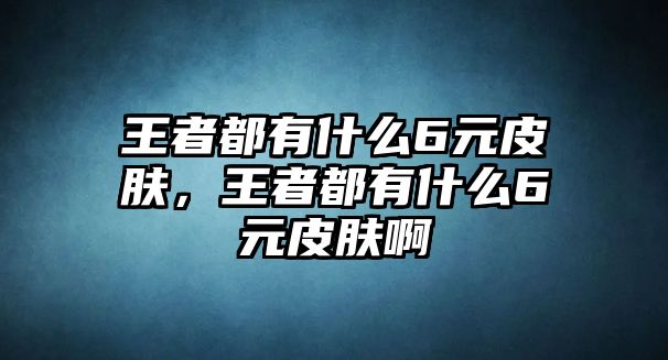 王者都有什么6元皮膚，王者都有什么6元皮膚啊