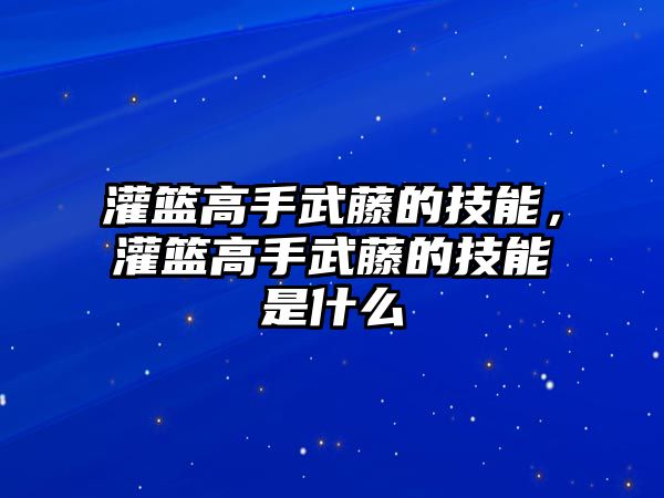 灌籃高手武藤的技能，灌籃高手武藤的技能是什么