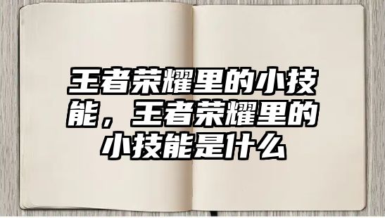 王者榮耀里的小技能，王者榮耀里的小技能是什么