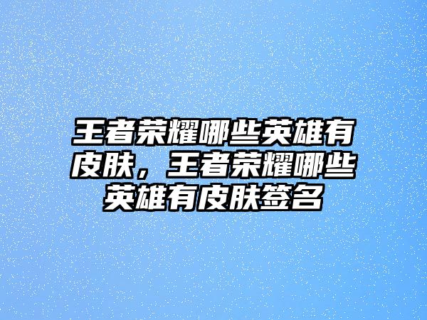 王者榮耀哪些英雄有皮膚，王者榮耀哪些英雄有皮膚簽名