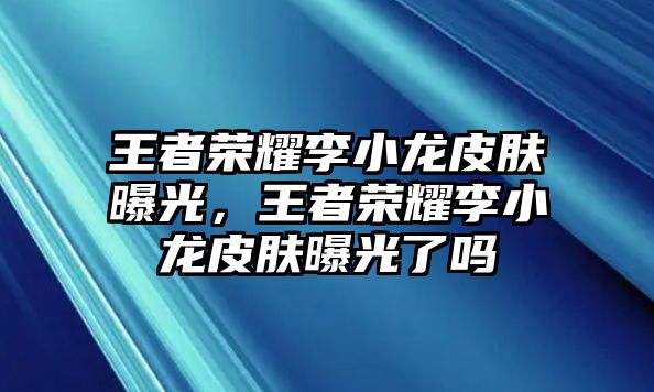 王者榮耀李小龍皮膚曝光，王者榮耀李小龍皮膚曝光了嗎