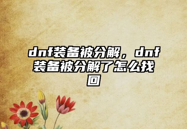 dnf裝備被分解，dnf裝備被分解了怎么找回