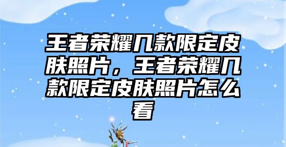 王者榮耀幾款限定皮膚照片，王者榮耀幾款限定皮膚照片怎么看