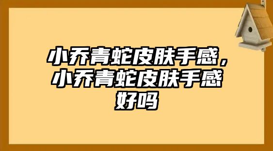 小喬青蛇皮膚手感，小喬青蛇皮膚手感好嗎