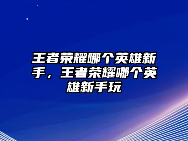 王者榮耀哪個英雄新手，王者榮耀哪個英雄新手玩