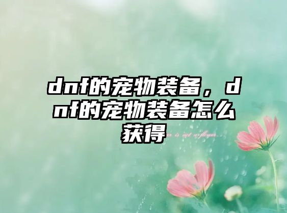 dnf的寵物裝備，dnf的寵物裝備怎么獲得