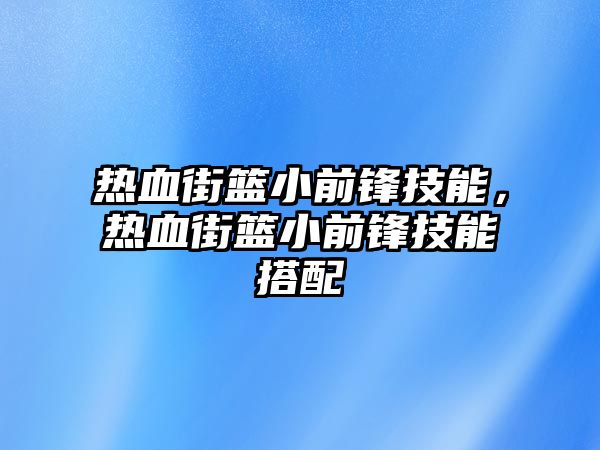 熱血街籃小前鋒技能，熱血街籃小前鋒技能搭配